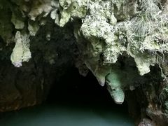 -怀托摩萤火虫洞