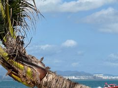 -三亚西岛海洋文化旅游区