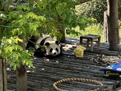 -大连森林动物园