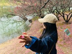 -白塘生态植物园