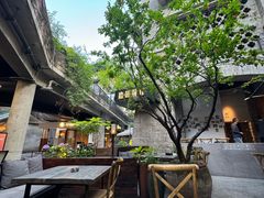 -鲨鱼餐厅.海景川粤餐厅(重庆天地店)