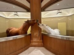 -海澜飞马水城