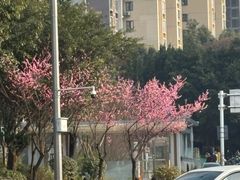 -武胜段记猪肝面(卓锦城店)