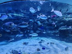 -海合安成都极地海洋公园