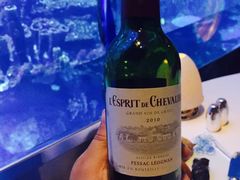 -迪拜帆船酒店海底餐厅