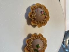 -觀芷隐轩