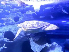 -多彩贵州城极地海洋世界