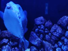 -成都浩海立方海洋公园