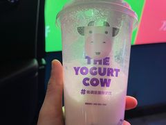 -一只酸奶牛(奎星楼店)