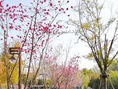 -南通濠河风景名胜区