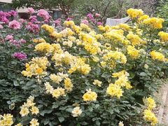 -元大都城垣遗址公园