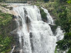 -海南热带雨林国家公园吊罗山景区