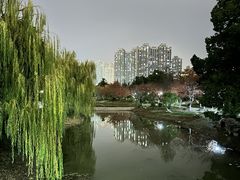 -堤角公园