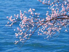 -颐和园-景明楼