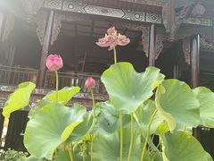 -自贡市盐业历史博物馆