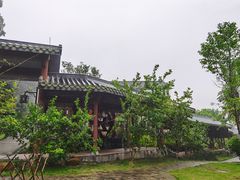 -广州神农草堂中医药博物馆