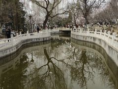 -桃花堤公园