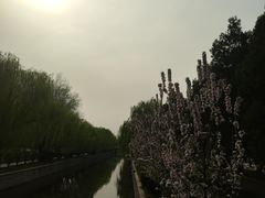 -元大都城垣遗址公园