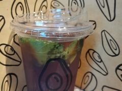 -油梨树AVOCADO TREE(嘉里中心店)