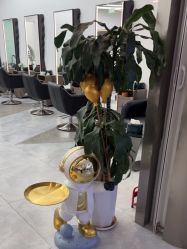-ON STAR SALON