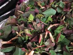 -杨肥肠火锅大排档(火车站花园店)
