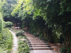-白沙古井