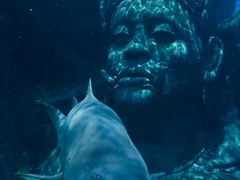 -暹罗海洋世界