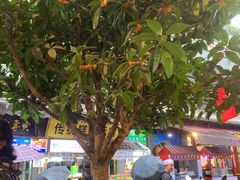 -老乌家特色小炒泡馍(大皮院店)