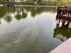 -中国农业博物馆
