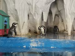 -太平洋海底世界