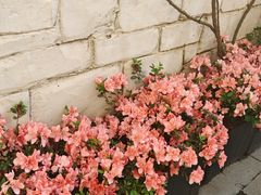 -华谊兄弟（长沙）电影小镇