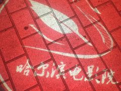 -哈尔滨电影院