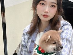 -逗柴咖啡屋·狗咖猫咖宠物桌游