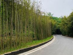 -栾川竹海野生动物园