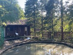 -苏州上方山国家森林公园