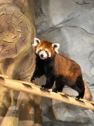 -Zoolung Zoolung动物主题公园(海信广场店)