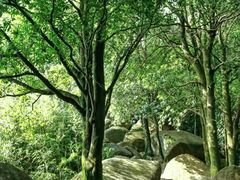 -火炉山森林公园