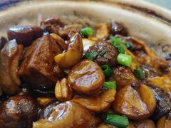 -高玛纳驴肉火烧(河间总店)