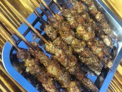 -民族烤羊·烤羊肉串·烤羊排(南城店)