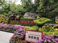 -莲湖公园