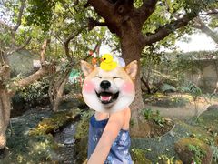 -Chom Cafe and Restaurant