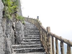 -南宁花花大世界景区