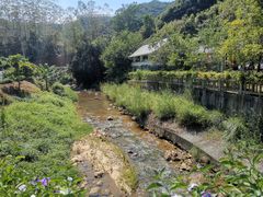 -广州白江湖森林公园