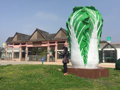 -上海都市菜园
