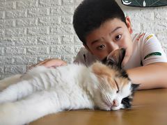 -平行世界·猫咖(首经贸店)