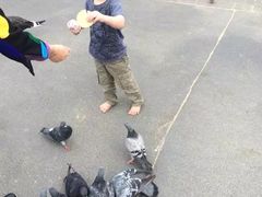 -Movenpick Newmarket