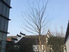 -院子餐厅·大锅菜·老杭帮(桥西直街店)