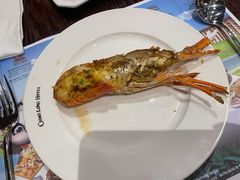 -白虎自助餐厅·真老虎·景观自助餐厅(广州长隆酒店)