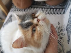 -平行世界·猫咖(首经贸店)