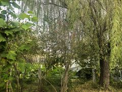 -廊坊市自然公园